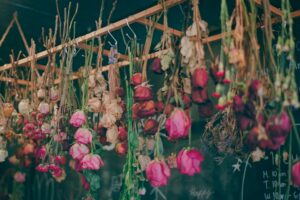 faire-secher-des-fleurs
