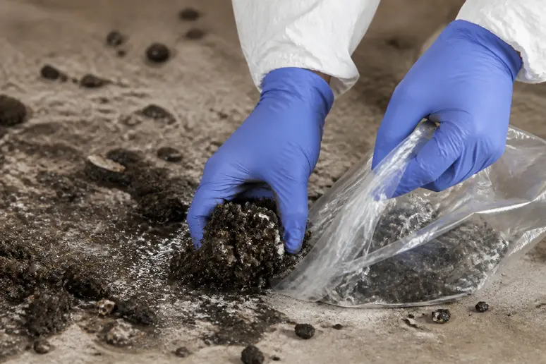 Nettoyage sécurisé des crottes de chauve-souris : mains gantées ramassant le guano humide dans un sac.